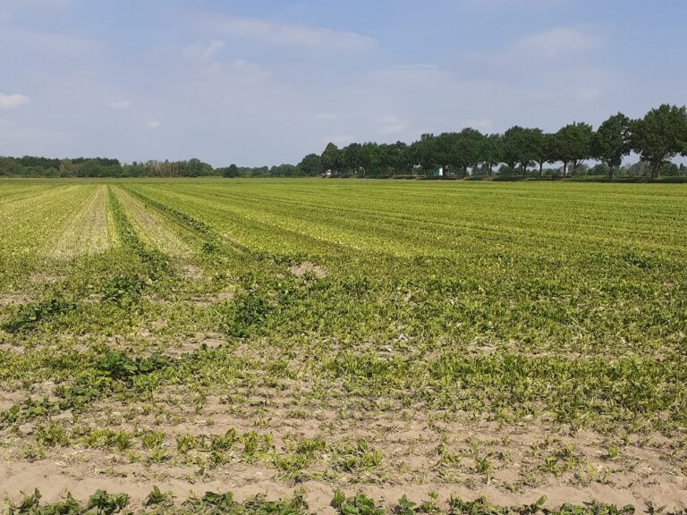 Klimaschutz geht alle an
