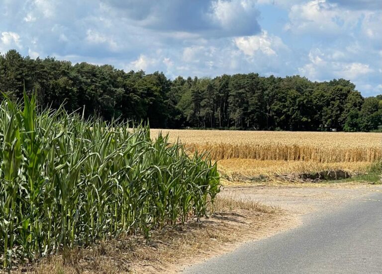 Was wurde aus FAIRPACHTEN? — Ein GEHEIMNIS!
