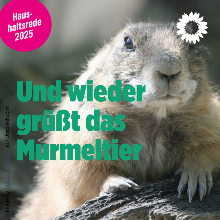 Haushaltsrede der Fraktion B90/DIE GRÜNEN zum Haushalt 2025 – Anja Degenhardt